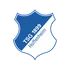 Logo of TSG Hoffenheim